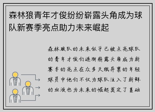 森林狼青年才俊纷纷崭露头角成为球队新赛季亮点助力未来崛起
