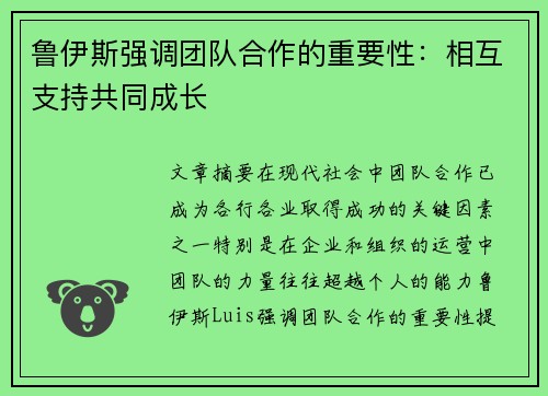 鲁伊斯强调团队合作的重要性：相互支持共同成长