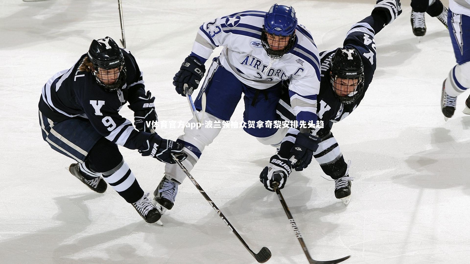 波兰领袖众贺拿奇黎安排先头趋