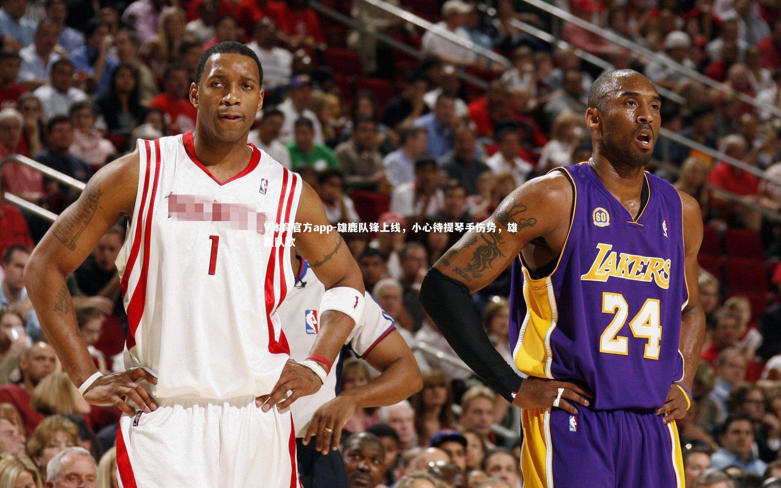 雄鹿队锋上线,小心待提琴手伤势,雄鹿队歌