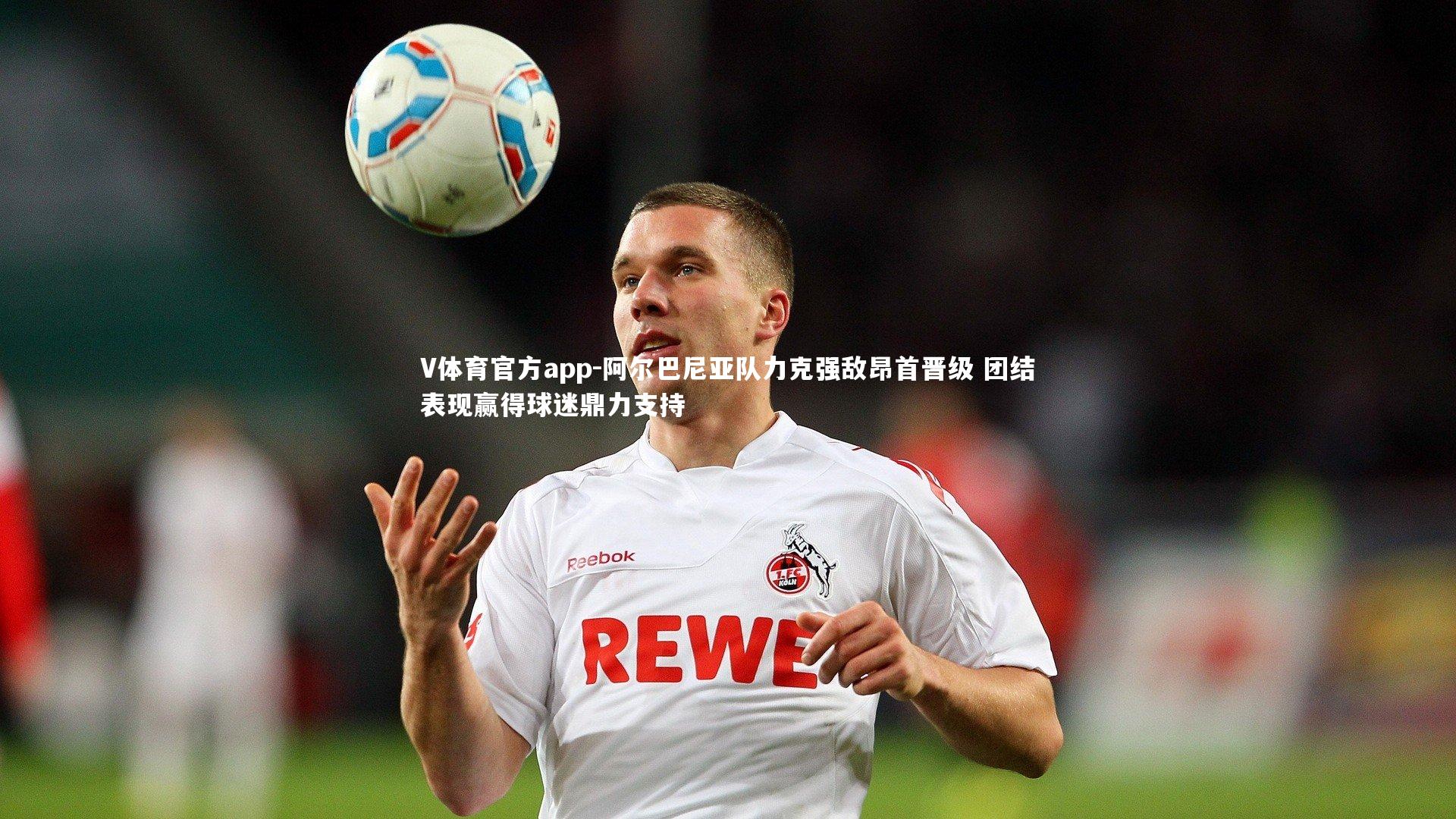 阿尔巴尼亚队力克强敌昂首晋级 团结表现赢得球迷鼎力支持